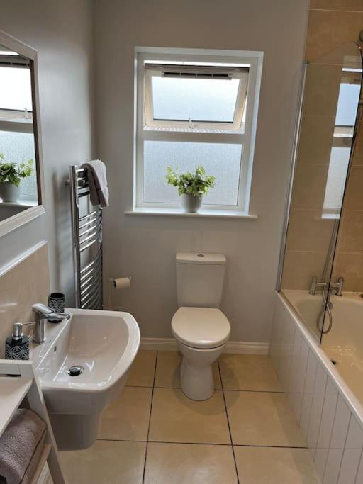 Corran Mews Apartment Larne Exterior foto